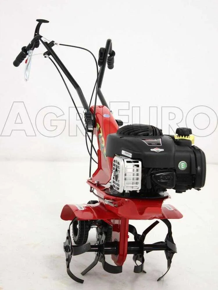 Eurosystems Z2 RM Motobineuse à essence 3,5 CV Briggs & Stratton 450 avec marche arrière