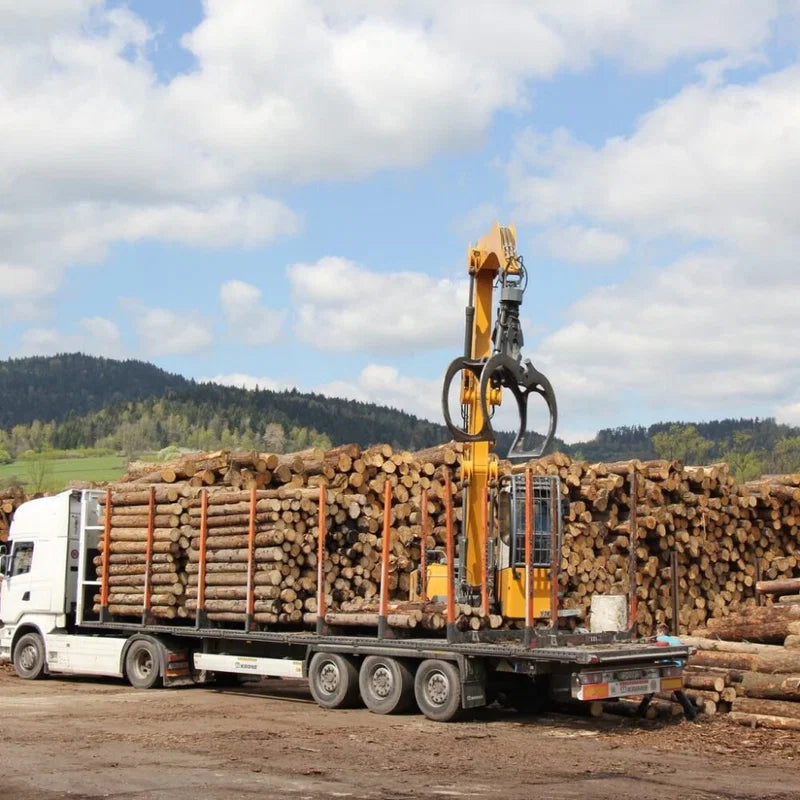 Hêtre en grume – Camion complet 50 stères