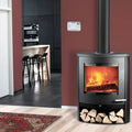 TermaTech TT22R poêle à bois S01-648 - image 1