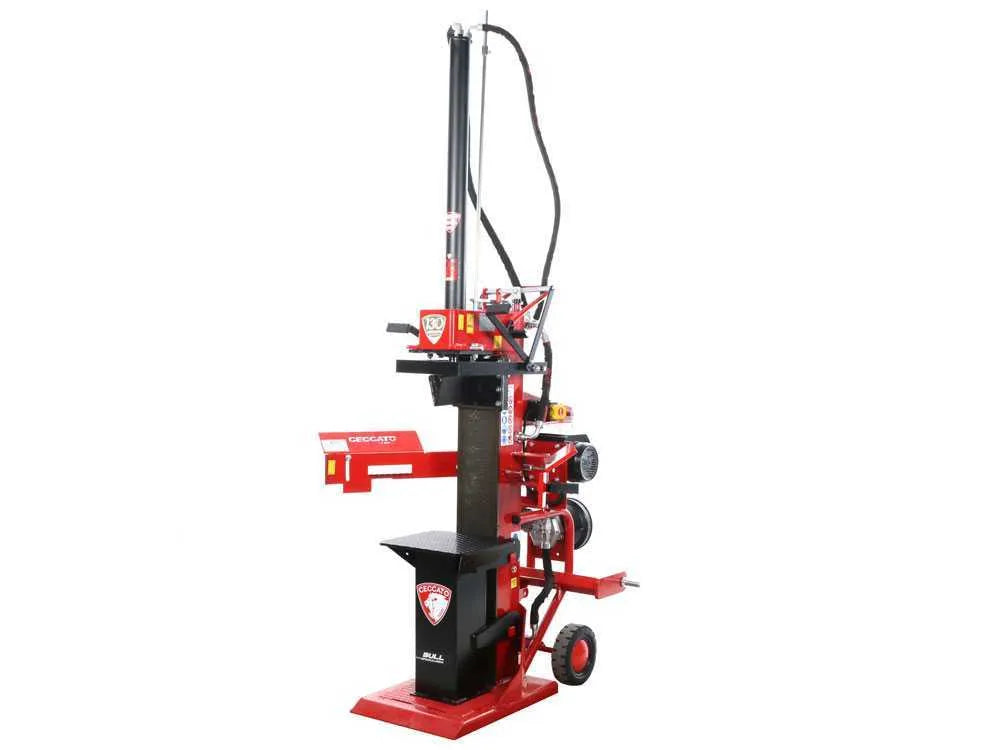 Ceccato Olindo BULL SPLET13TLT - vue 4