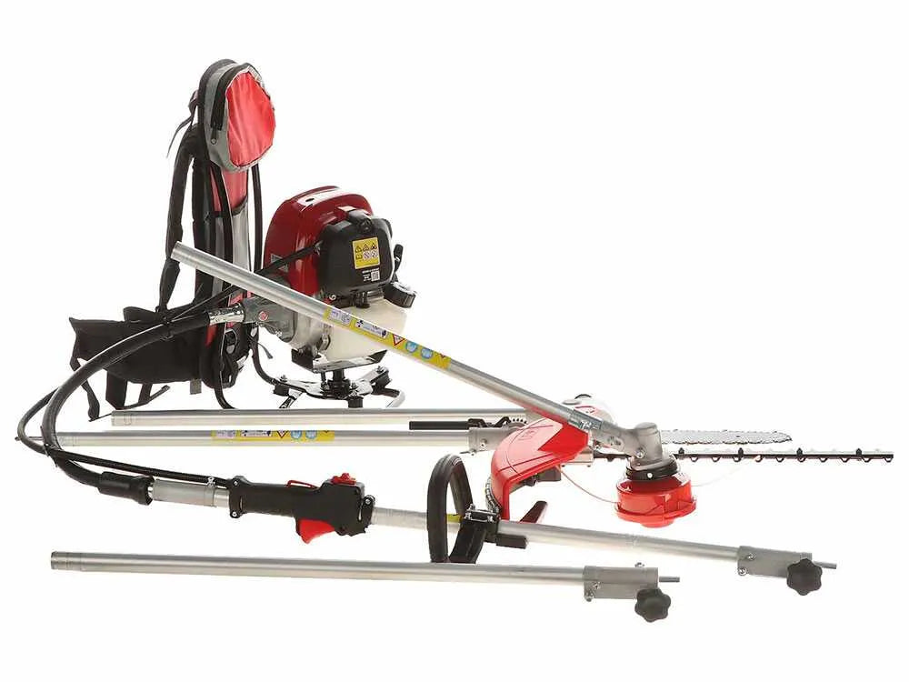 Blue Bird ZHO 50 COMBI - vue 3