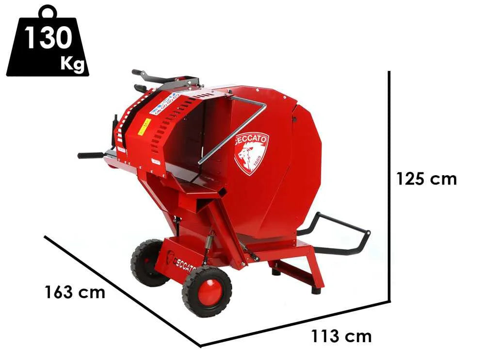Ceccato Olindo SGT Honda GP160 – photo 3