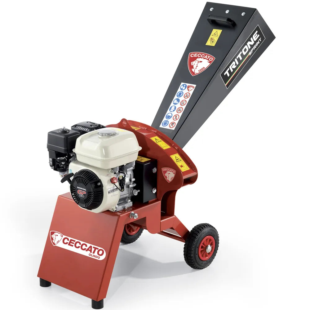 Ceccato Tritone Sprint Honda GP 160 - photo 1
