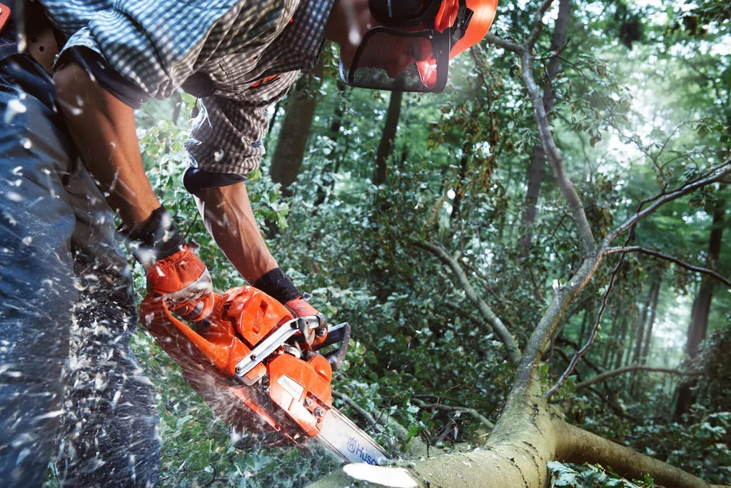 Husqvarna 555 tronçonneuse thermique – image 3