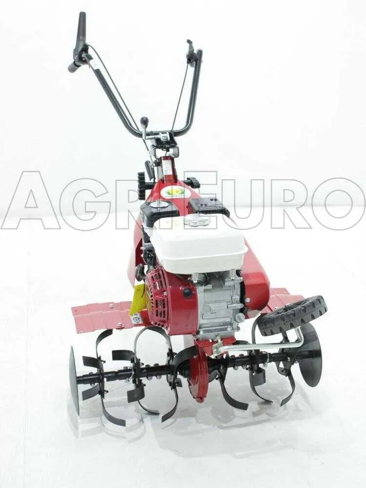 Eurosystems Euro 5 EVO 2+1 Motobineuse à essence Honda GX160 163 cm³ 2 vitesses + marche arrière - image 3