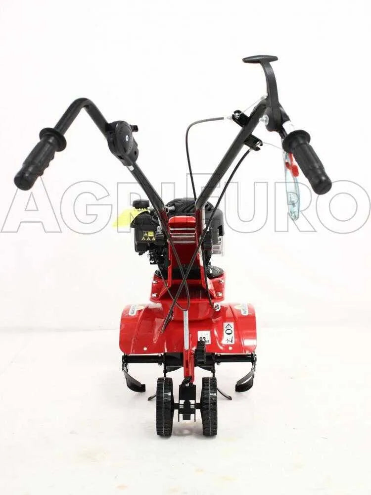 Eurosystems Z2 RM Motobineuse à essence 3,5 CV Briggs & Stratton 450 avec marche arrière