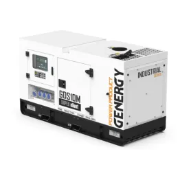 GENERGY GDS10M – vue générale du capot insonorisé