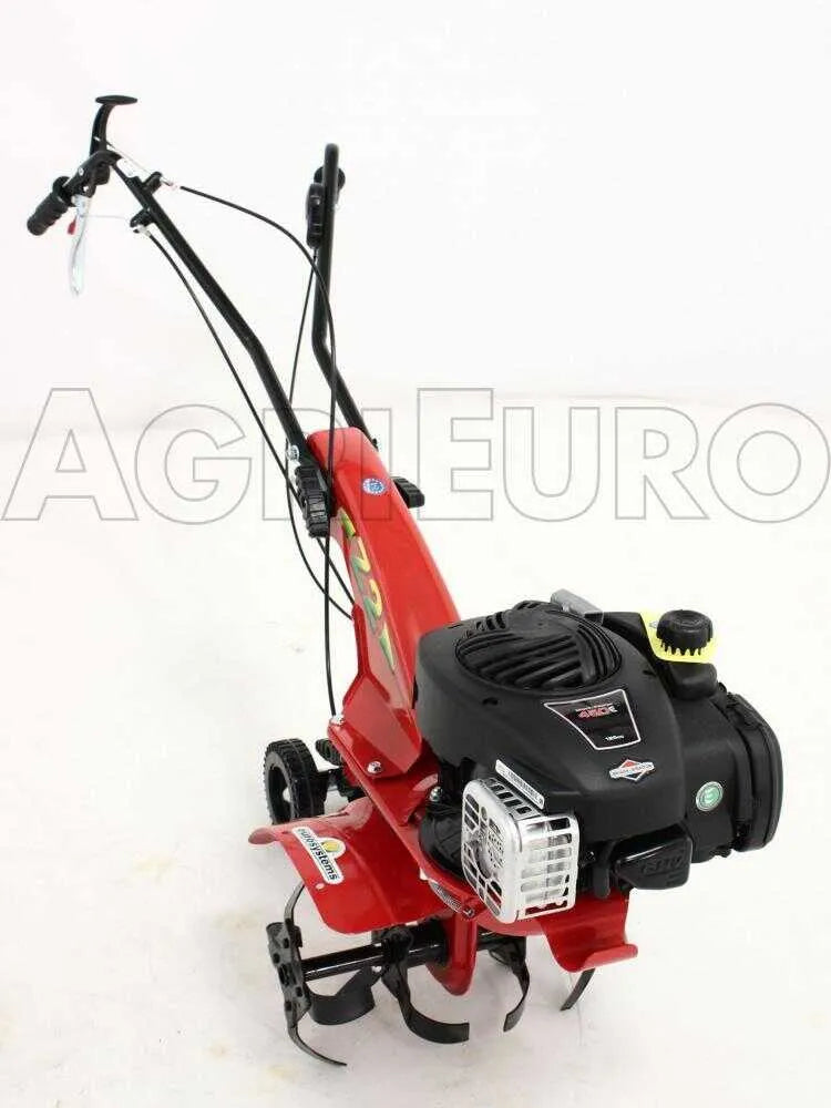 Eurosystems Z2 RM Motobineuse à essence 3,5 CV Briggs & Stratton 450 avec marche arrière