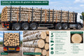 Grumes de bouleau– Camion complet de 50 stères