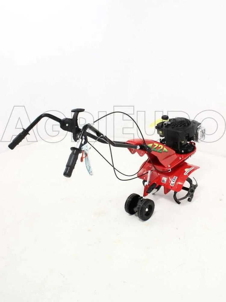Eurosystems Z2 RM Motobineuse à essence 3,5 CV Briggs & Stratton 450 avec marche arrière