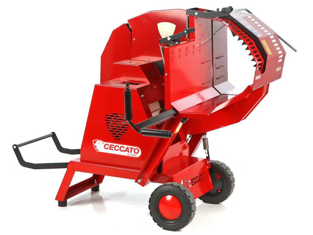 Ceccato Olindo SGT Honda GP160 – photo 4