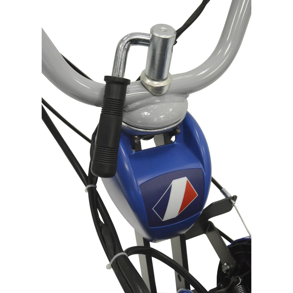 Motobineuse thermique Staub ST 2966 DE avec démarreur électrique et marche arrière