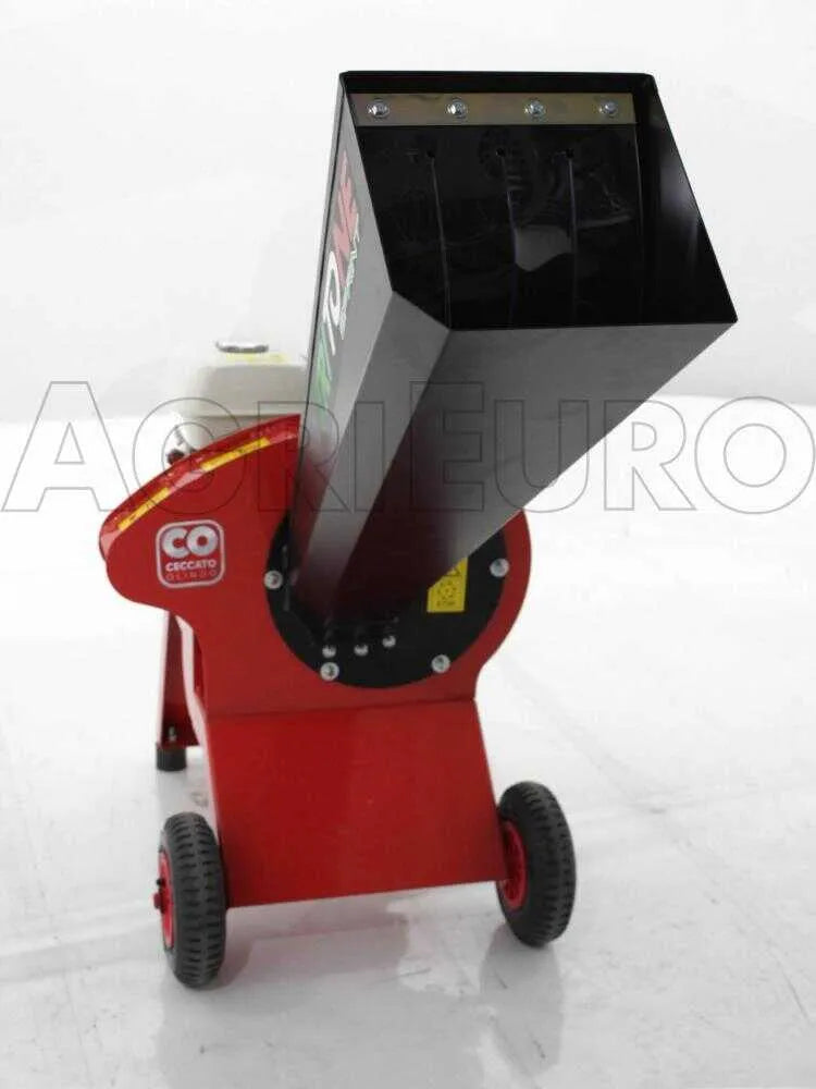 Ceccato Tritone Sprint Honda GP 160 - photo 2