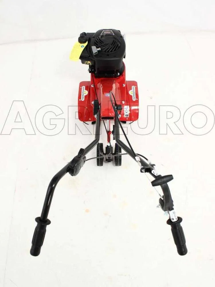 Eurosystems Z2 RM Motobineuse à essence 3,5 CV Briggs & Stratton 450 avec marche arrière